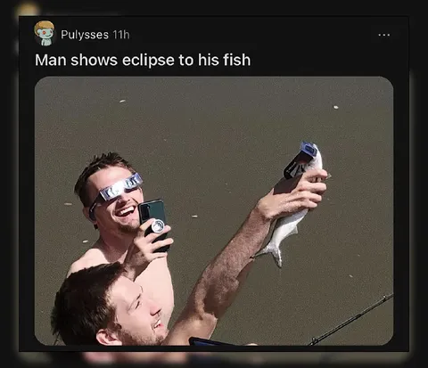 Man Shows Eclipse to Fish