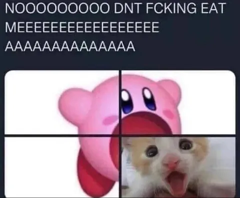 Kirby Don't Eat Cat Reaction