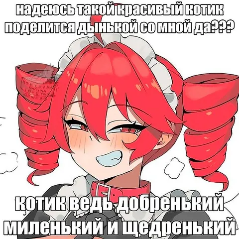 Котик поделится дынькой