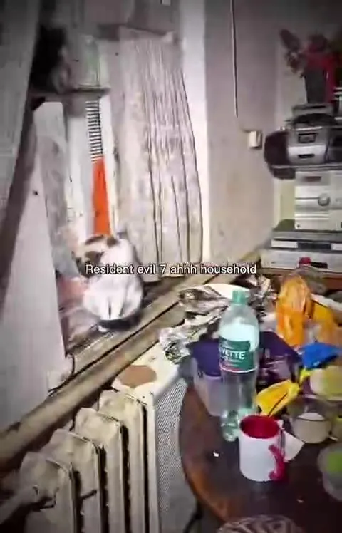 Resident Evil 7 Household