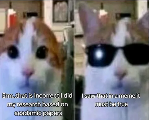 Academic Papers Versus Meme Evidence
