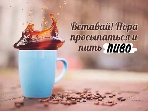 Вставай, пора пить пиво