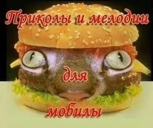 Приколы и мелодии для мобилы