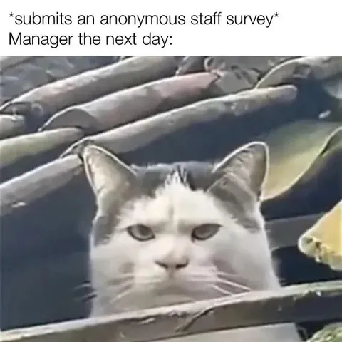Manager Reads Anonymous Survey