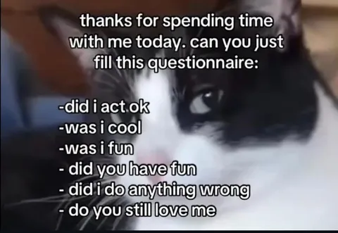 Anxious Cat Feedback Questionnaire