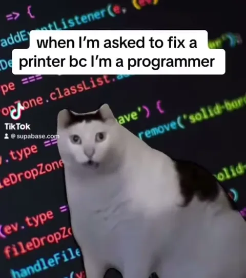 Programmer Asked to Fix a Printer