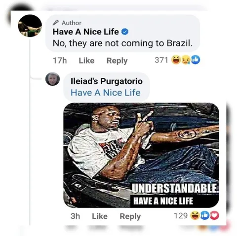 Understandable, Have a Nice Life
