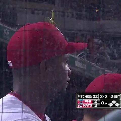 Praying Mantis on Baseball Cap