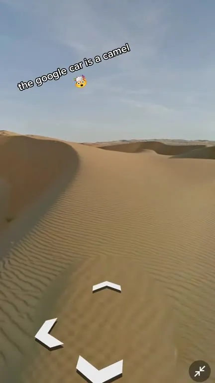 Google car is a camel