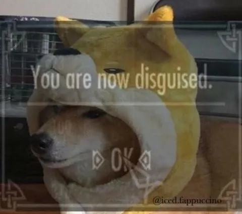 You Are Now Disguised