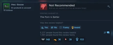 The Porn Is Better Steam Review