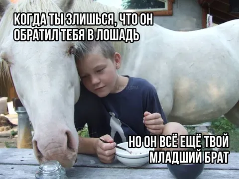 Младший брат всё ещё твой
