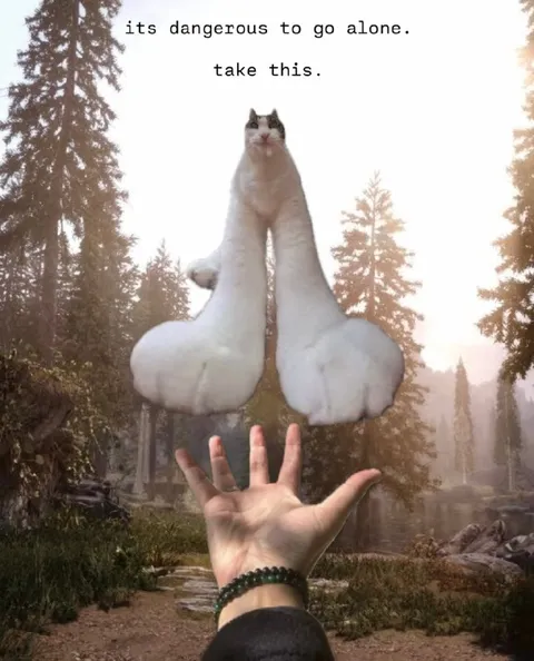 It's Dangerous to Go Alone