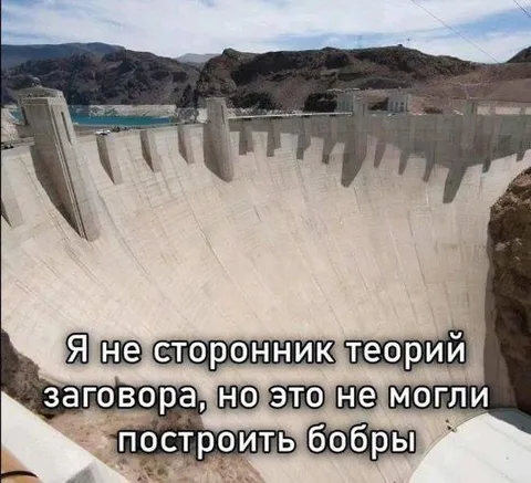 Бобры построили плотину