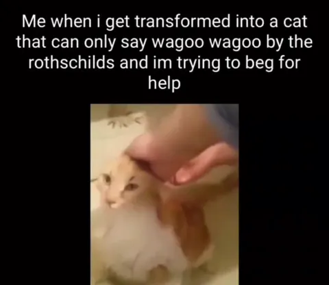 Cat Can Only Say Wagoo Wag​​oo