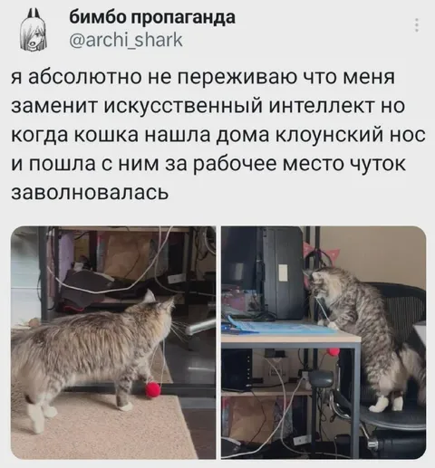 Кошка заняла рабочее место