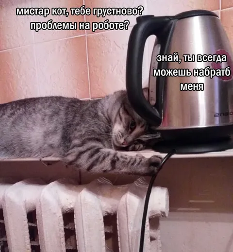 Кот звонит в чайник
