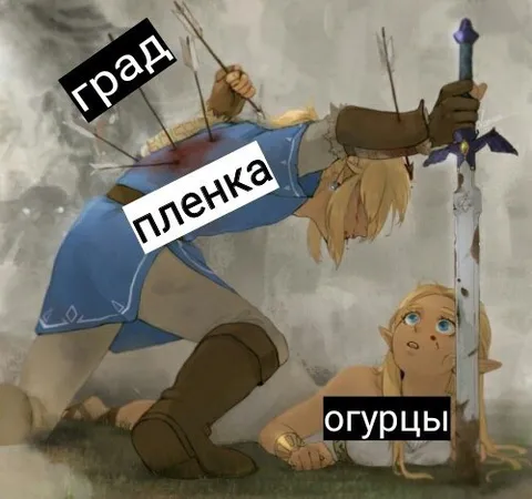 Град, плёнка и огурцы