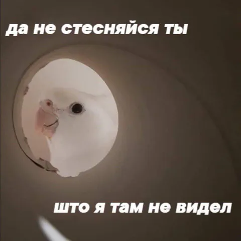 Да не стесняйся, ты что я там не видел