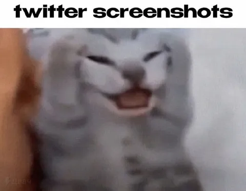 Laughing Cat Twitter Screenshot