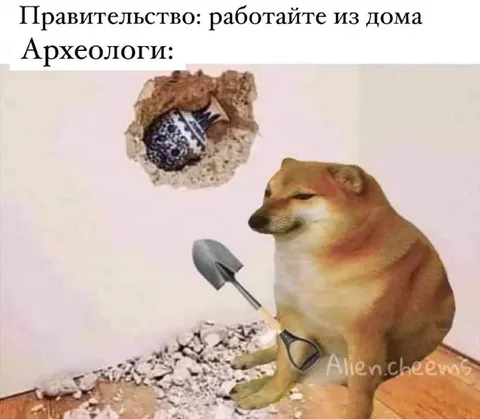Археолог работает из дома