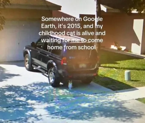 Childhood Cat on Google Earth