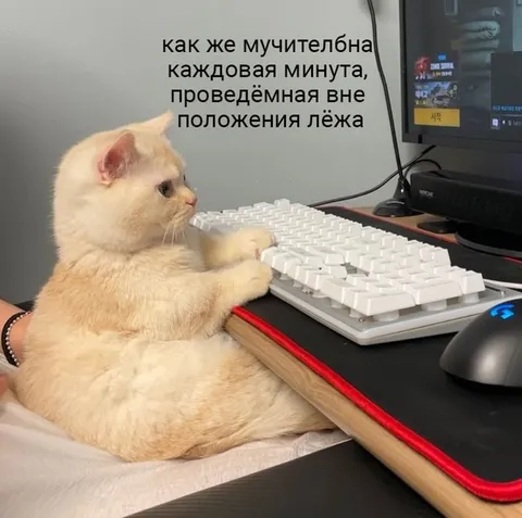 Мучительная жизнь вне лёжа