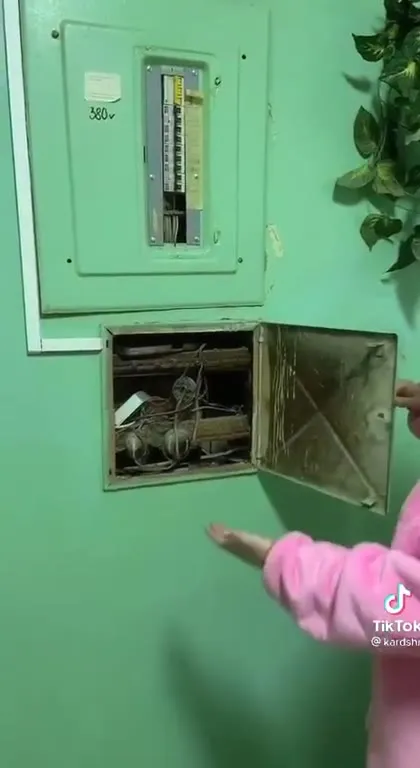 Экскурсия по коммунальному сюрпризу