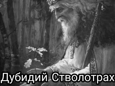 Дубидий Стволотрах