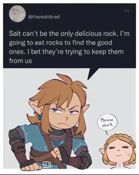 Salt Rocks Taste Test
