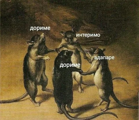 Крысы говорят на своём языке