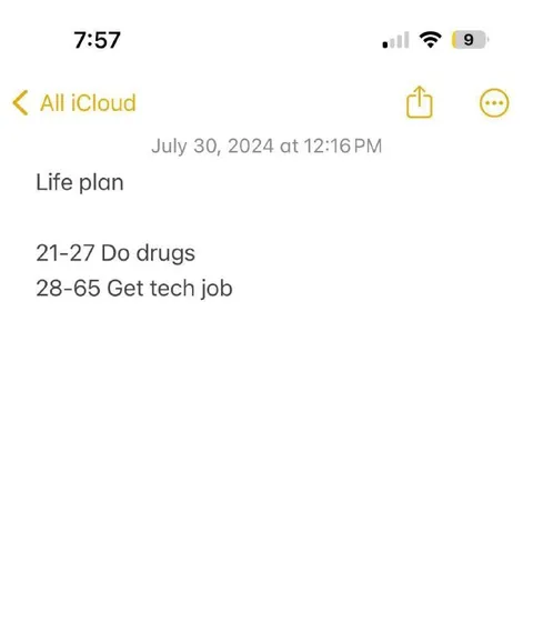 Life Plan: Drugs Then Tech Job
