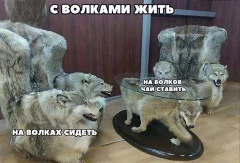 С волками жить