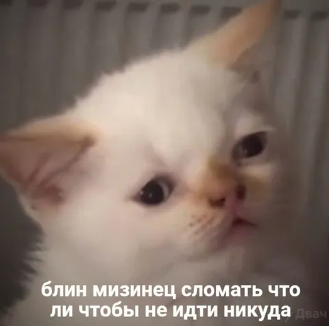 Сломать мизинец, чтобы никуда не идти