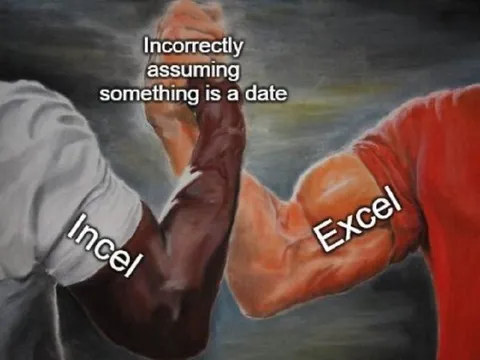 Incel and Excel Flexing