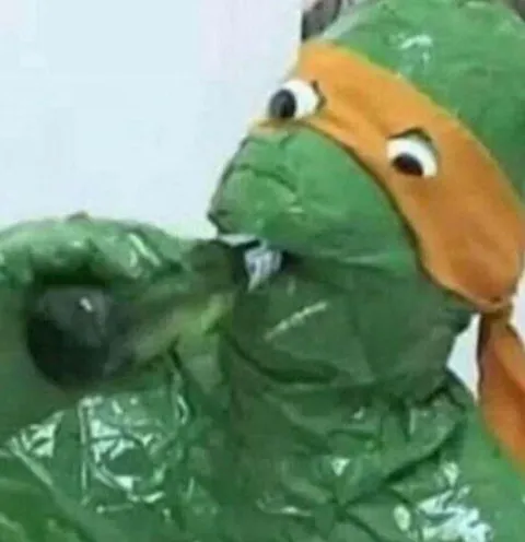 Черепашка в шоке