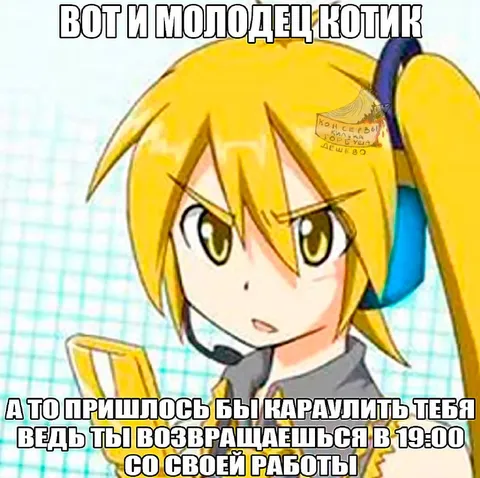 Молодец, котик, вернулся с работы