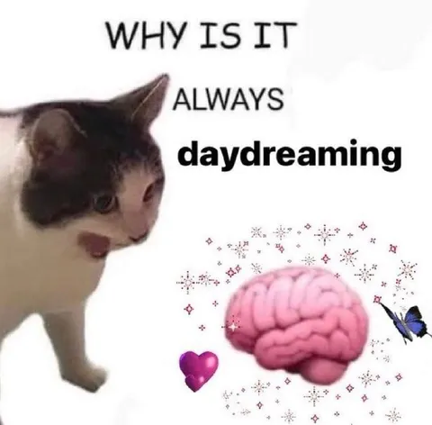 Why Is It Always Daydreaming
