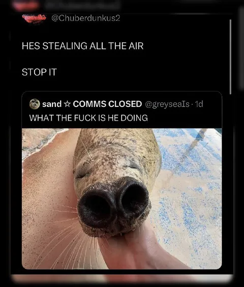 Seal Stealing All the Air