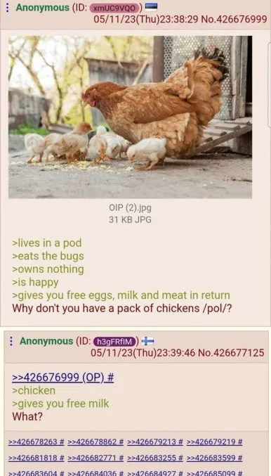 Why Don't You Have Chickens