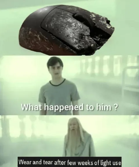 What Happened to the Mouse?