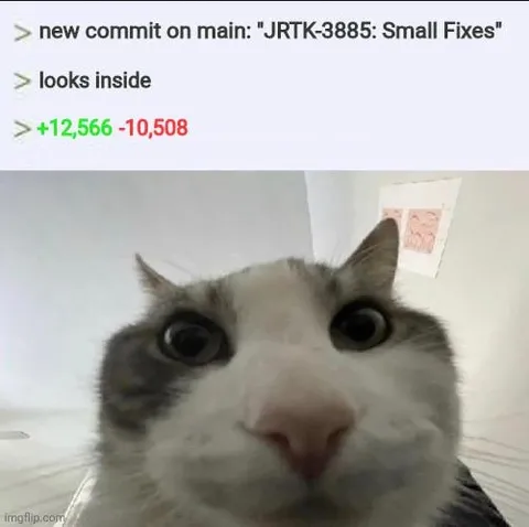 Cat Sees the Huge Commit