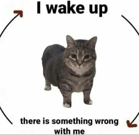 I Wake Up Something Is Wrong
