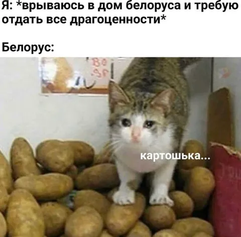 Белорус отдаёт картошку