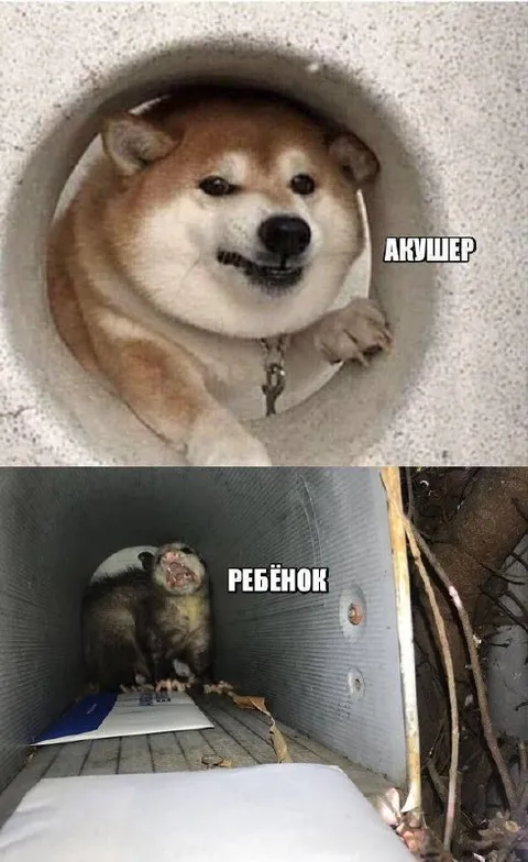 Акушер принимает ребёнка