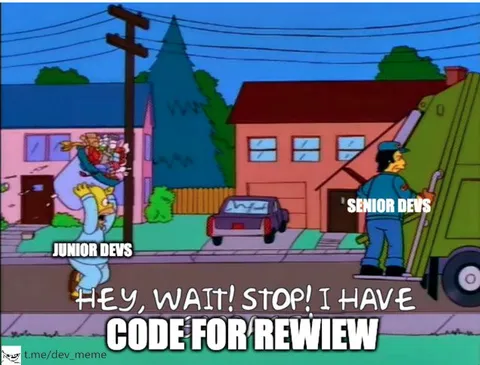 Junior Devs Have Code for Review