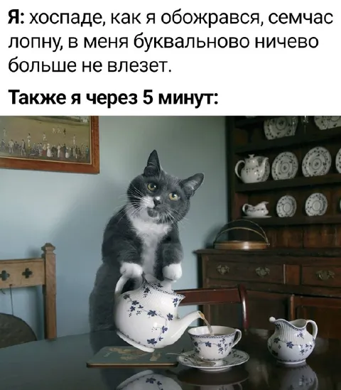 После перекуса снова хочется есть