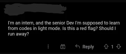 Senior Developer Uses Light Mode