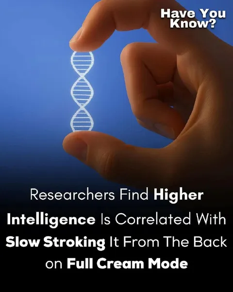 Higher Intelligence Slow Stroking