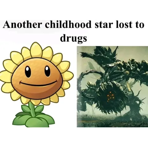 Sunflower Lost to Drugs